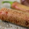 Везанка Македонская — изображение 3